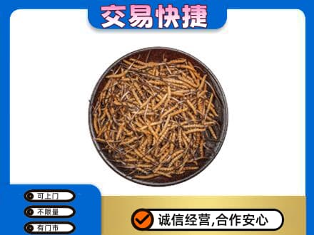 那曲市高价回收散虫草